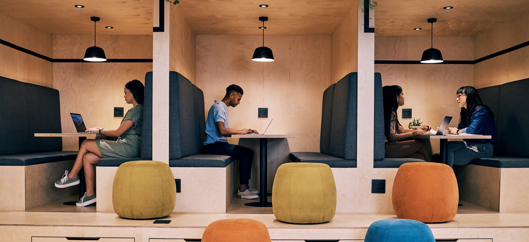 Individuals work in their own separate booths. 